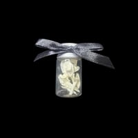 Image 2 of cane toad partia skull/mix bone jars