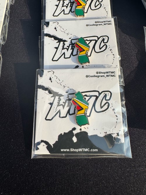Image of Trinidad & Guyana Flag Pins