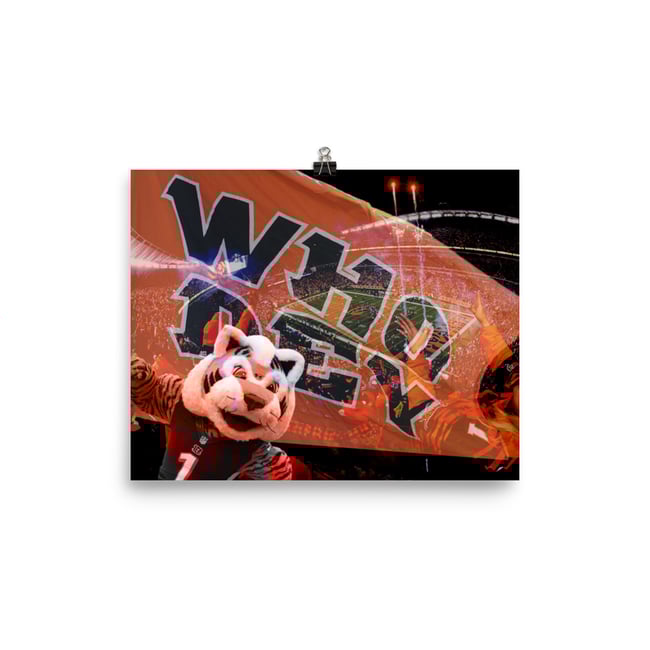 Cincinnati Bengals Collage Poster