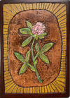 Clover 5