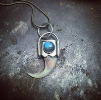 Image 1 of Lynx claw pendant 