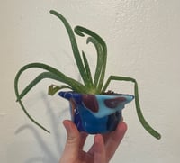 Image 5 of Fused glass small funky planter pot