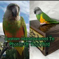 Image 1 of Handmade Custom Engraved Senegal Parrot To Your Photos Bird Urn Figurine Pet Portrait Memorial