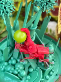 Image 2 of Red Thread Beetle