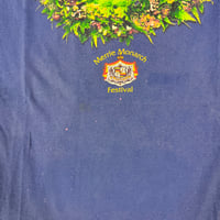 Image 2 of L 2005 FLAW (bleach spots) - 24
