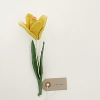 Image 6 of cocon flower 2