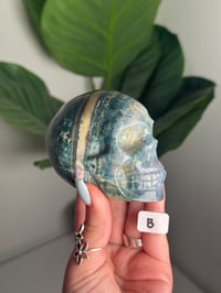 Image 2 of CHOOSE YOUR OWN SEA JASPER SKULL -MADAGASCAR-