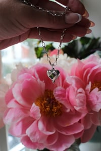Image 2 of Heart of Green