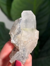 Image 4 of BOWTIE STILBITE X DIAMOND APOPHYLITE -INDIA- F