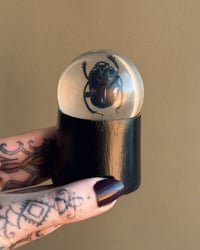 Image 2 of Resin Beetle Stand 1