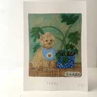 Image 1 of A5 signed print -Teddy the dog 