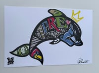 Image 3 of Dolphin Frank Print