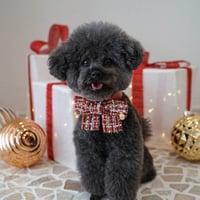 CHRISTMAS TWEED BOW - RED
