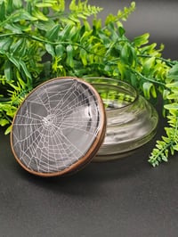 Image 4 of Vintage decorative glass Jar with  Real Preserved Web A