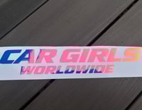 Image 2 of Oil Slick Worldwide Windshield Banner 