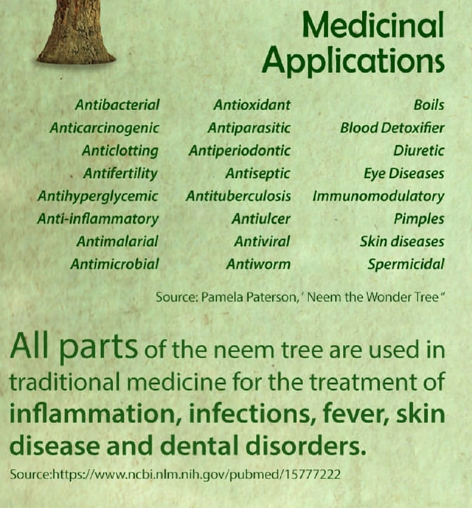 NEEMLY YOURS! Powder/Leaves/Teabags. Diabetes-Fungi-Viruses-Parasites-Allergies-Infections.