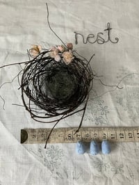 Image 1 of Wire nest with ‘dried blossom’