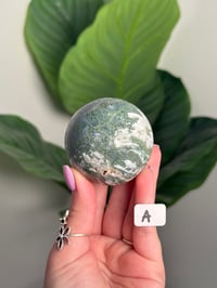 Image 1 of CHOOSE YOUR OWN MOSS AGATE SPHERE -INDIA- LOT 1