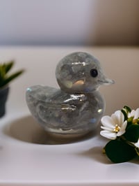 Image 2 of Set of 3 Natural Crystals in Resin OlllllO Ducks Ceramic Coated with Ducking Cards 'Lucky Ducks'