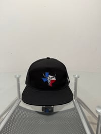 Image 1 of Texas state 