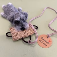 Image 1 of Schnauzer