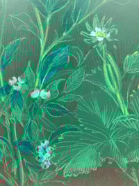 Image 2 of 🍓“Companions”- Original Botanical Drawing