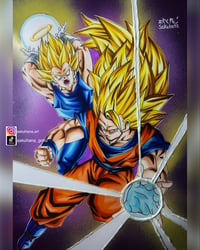 Image 1 of Vegeta & Goku SSJ3