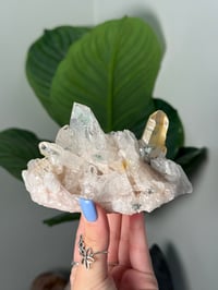 Image 1 of SELF STANDING CHLORITE/IRON INCLUDED COLOMBIAN QUARTZ