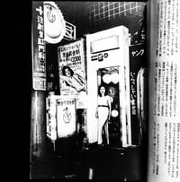 Image 3 of Nobuyoshi Araki "Fake Report"