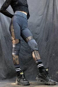 Image 1 of RAYA leggings,  grey, transparent 