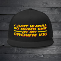 Dumb Shit in my Crown Vic Trucker Cap