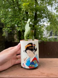 Image 1 of Christmas Cactus in Ceramic Calligraphy Geisha Cup