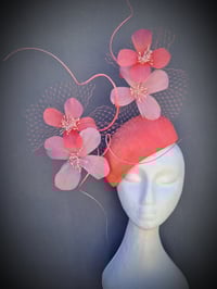 Image 1 of 'Catherine' in Coral pinks