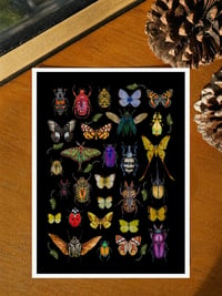 Image 1 of Insect Art Print with Moths Butterflies & Beetles Black