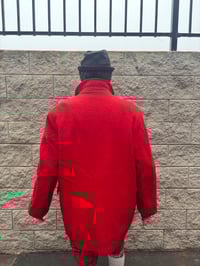 Image 13 of WARBIRTH COAT