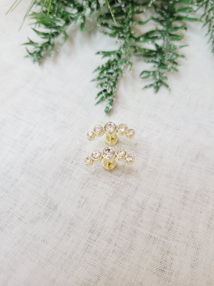 Image of Summer Earrings 
