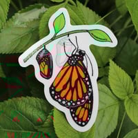 Image 3 of Emerging Monarch Clear 3” Sticker