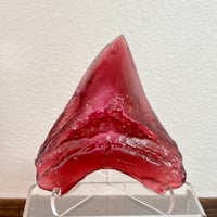 Lcfr Spirit Meg Tooth 5” Prpl1 25