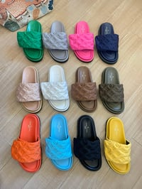 Image 2 of lv slides