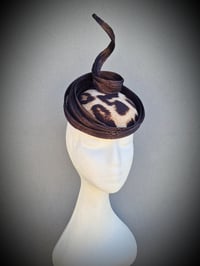 Image 2 of 'Coco' in chocolate 