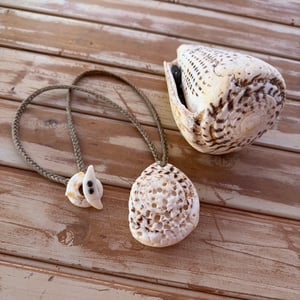 Image of Enormous Spiral Puka Shell Necklace on hand braided sinew