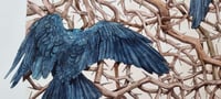 Image 2 of *NYHED* Huginn&Muninn A3 Print 