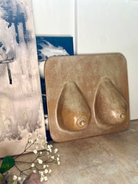 Image 3 of Pat relief #2