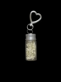 cane toad bones heart keychain jar