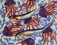 Image 4 of Sardines & JellyFish