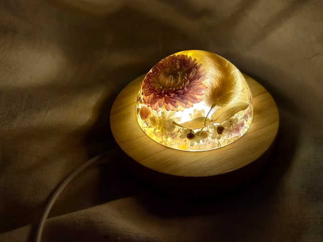 Flower Dome - Straw Flower, Bunny Tail & Natives