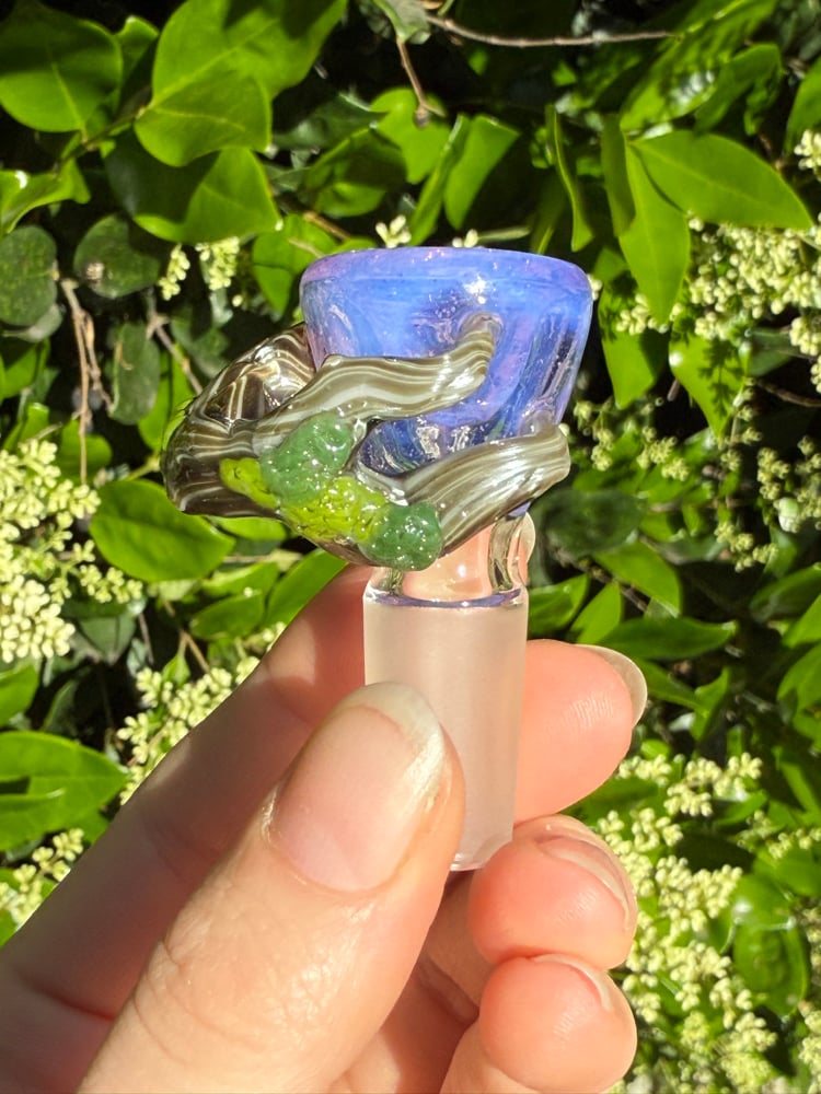 Image of Fantasy Forest 14 mm Slide  #3