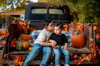 Image 3 of Fall minis 