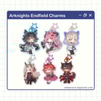Arknights Endfield Charms