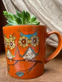 Image 1 of Echeveria in Fall Owl Mug